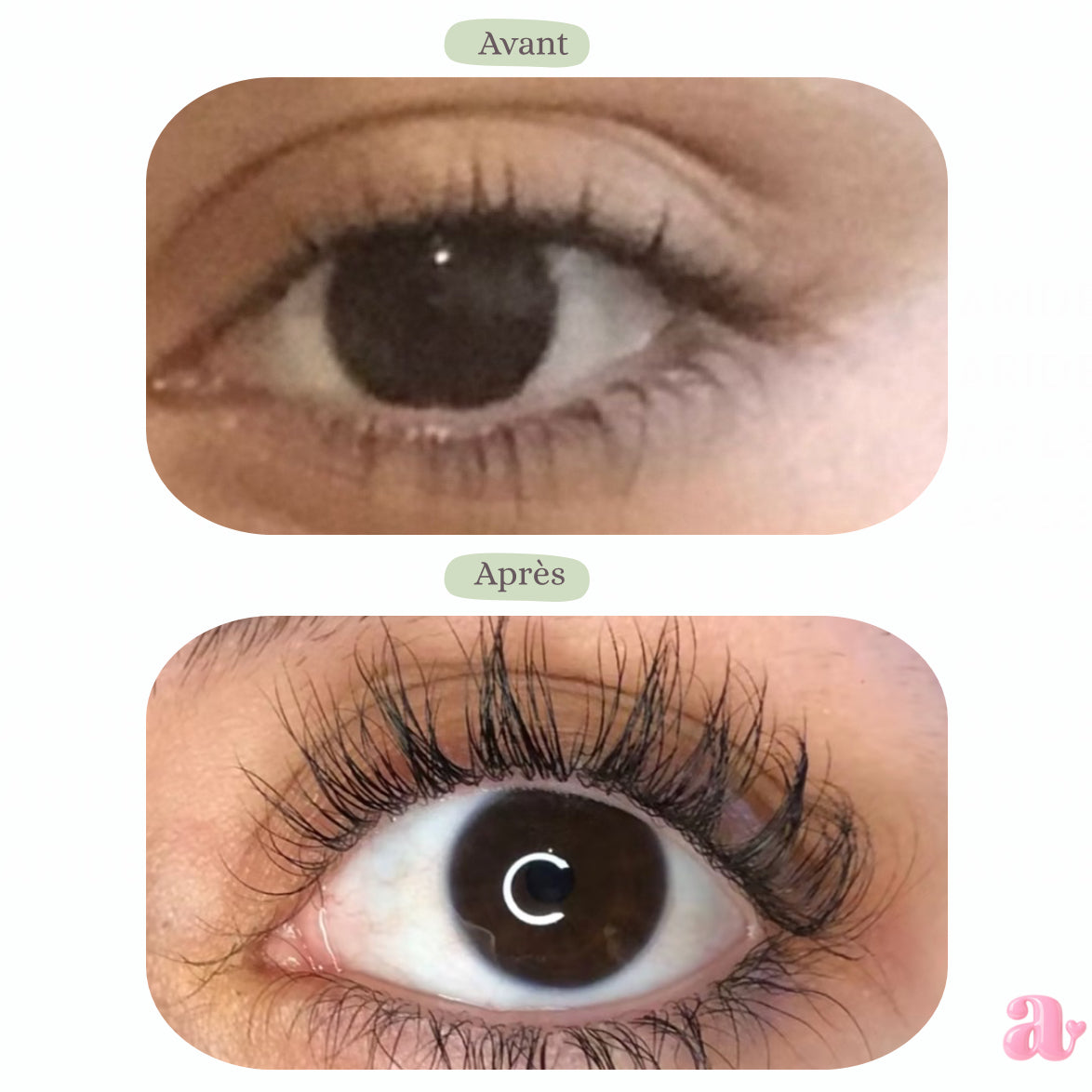 LashPushie - Un Regard Intense en 19 jours