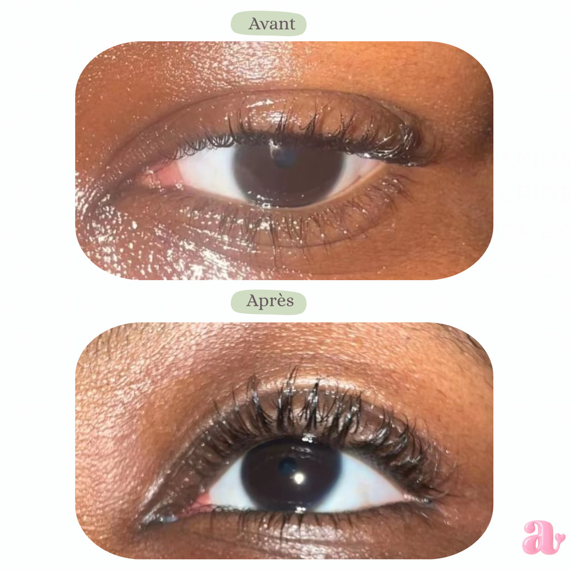 LashPushie - Un Regard Intense en 19 jours